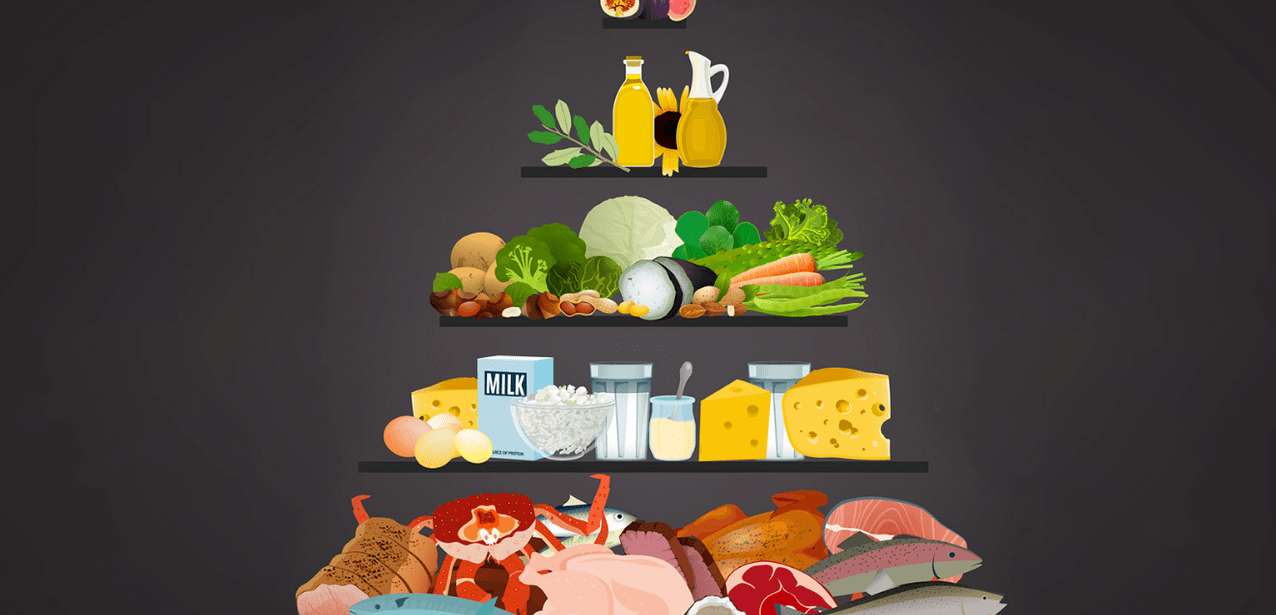 Protein diyeti